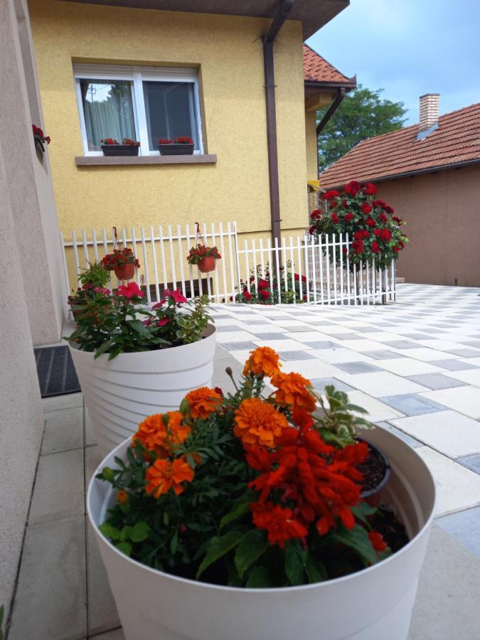 Leda Apartmani Smederevo Extérieur photo