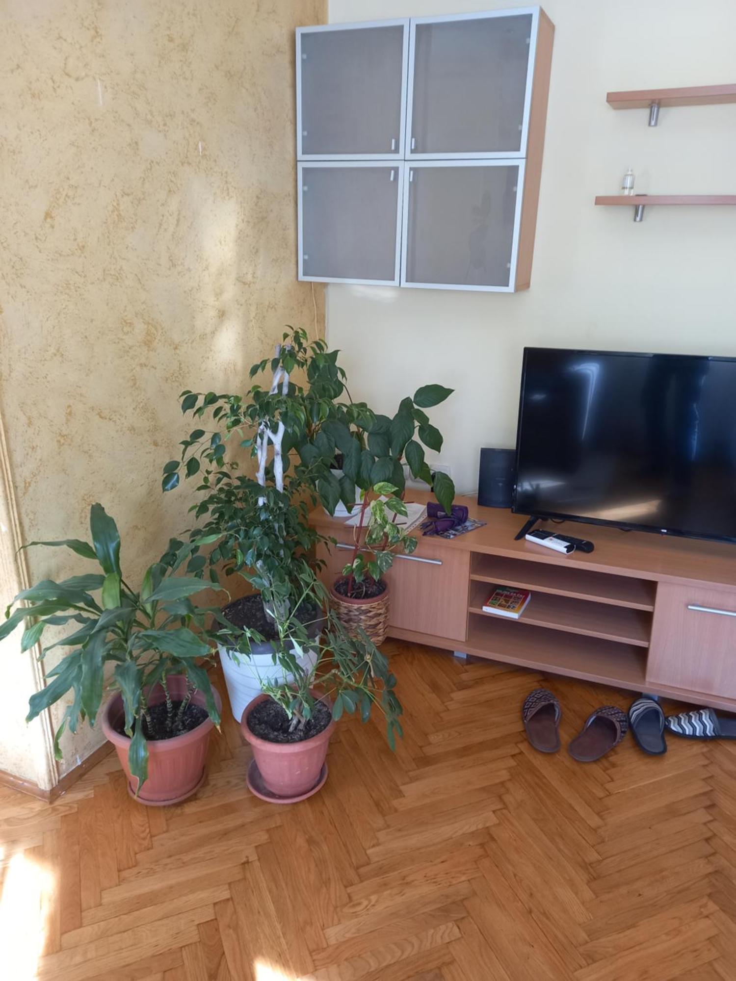 Leda Apartmani Smederevo Extérieur photo