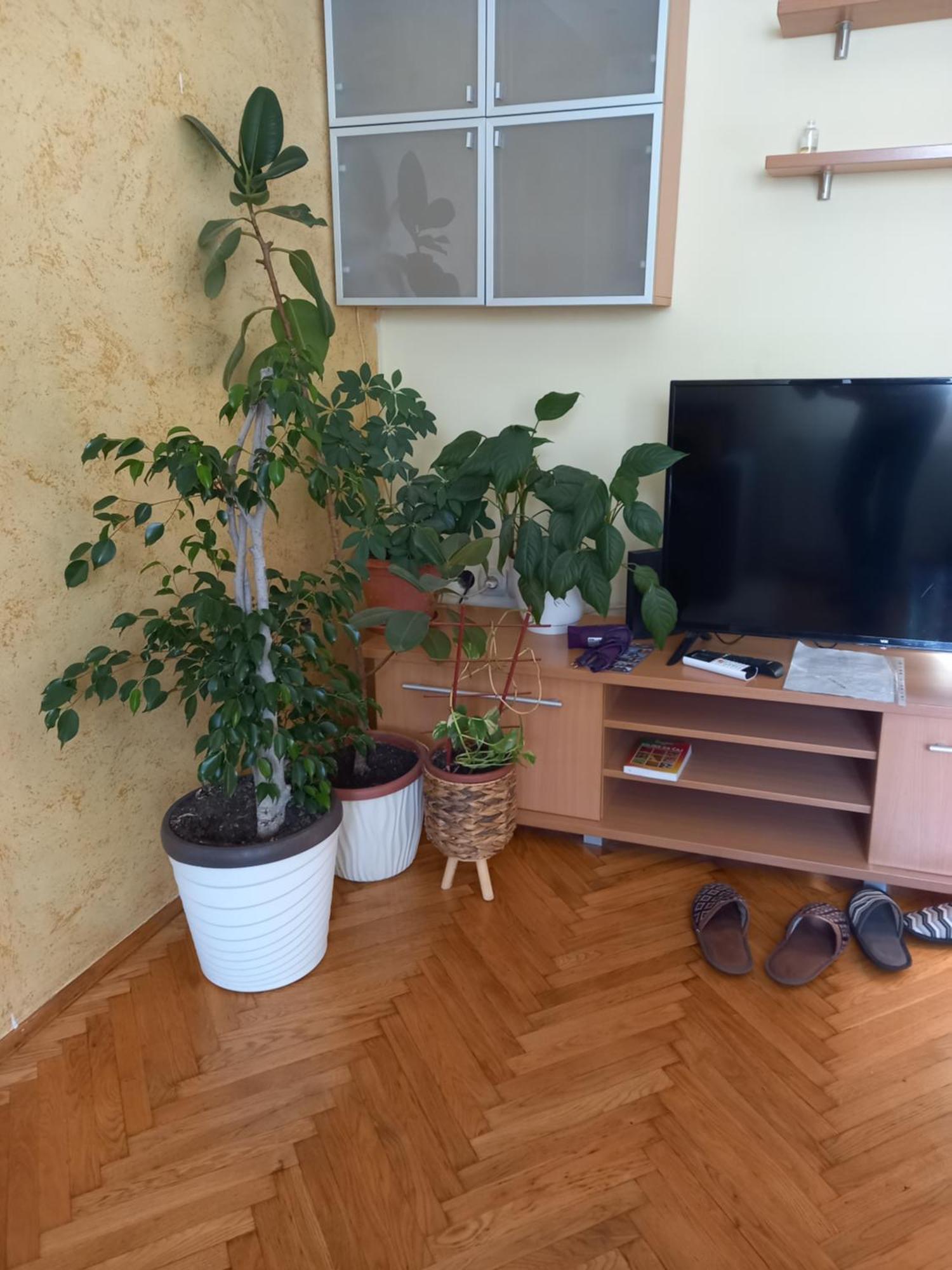 Leda Apartmani Smederevo Chambre photo